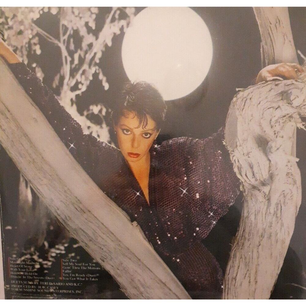 Teri DeSario Moonlight Madness Casablanca Records NBLP 7178 33 RPM Vinyl LP, New